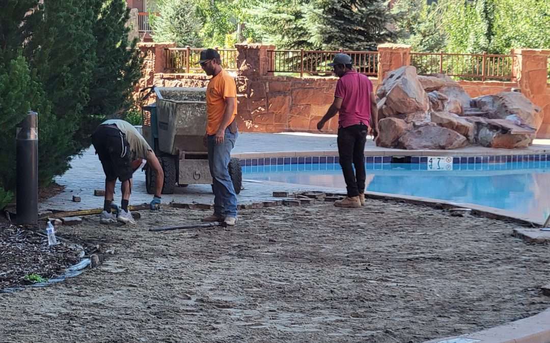 Three people working on landscaping near a pool in a backyard.