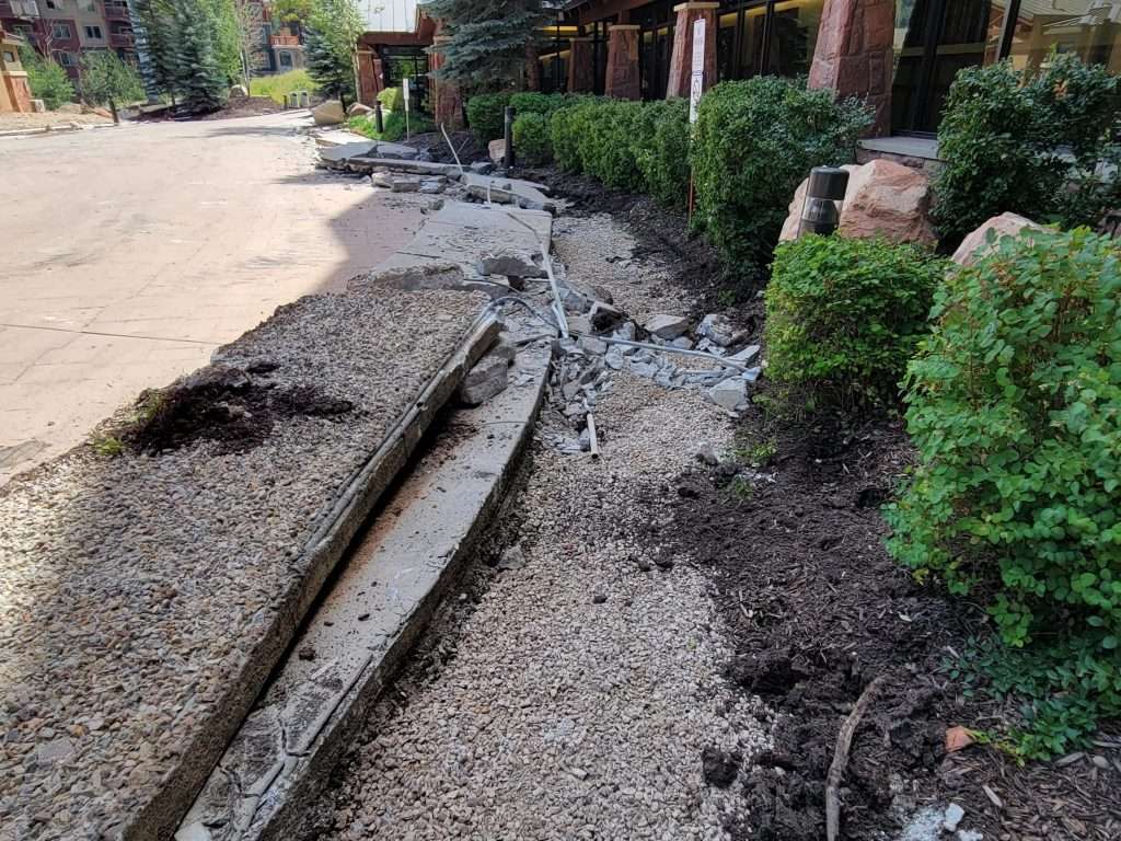A damaged sidewalk with uprooted plants and disturbed soil.