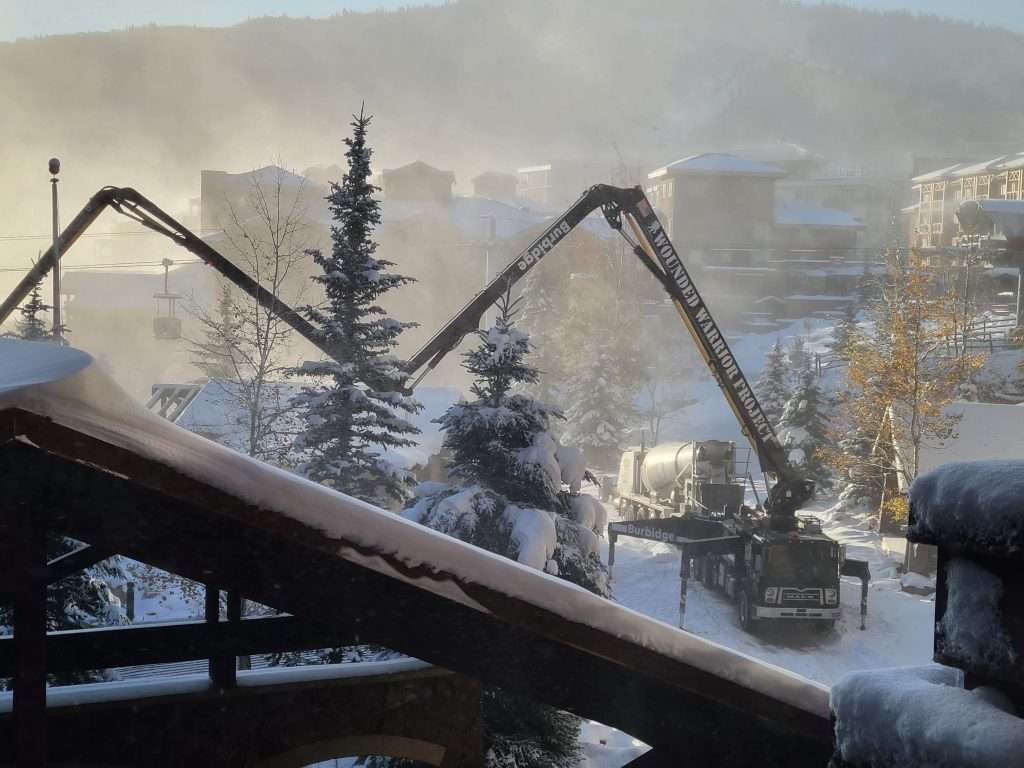 Snow-covered trees with cranes in a foggy, industrial setting.
