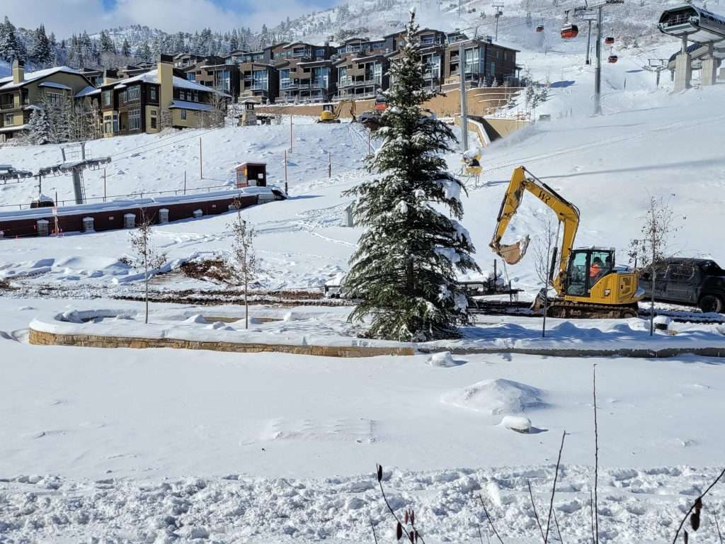 Excavator working near a snowy pine tree with buildings in the background.